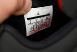 DG  Air Jordan 4 SE RapTors  AQ3816-056