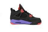 DG  Air Jordan 4 SE RapTors  AQ3816-056