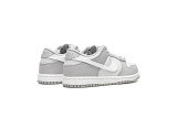 KID Nike Dunk Low Grey  DH9756-001