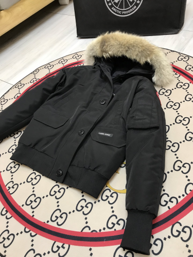 Canada Goose