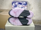 Jordan Air Jordan 5 Low Dongdan DX4355-015