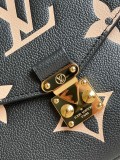 LV bag