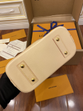 LV bag