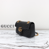 Gucci bag