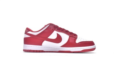 Nike Dunk Low USC           DD1391-602