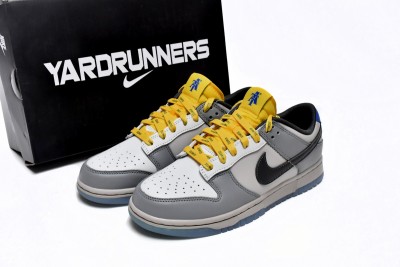 Nike Dunk Low North Carolina A&T                 DR6187-001