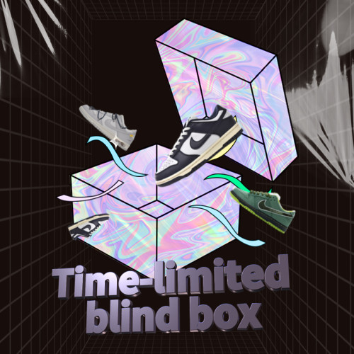 Nike Dunk Blind Box Two Pairs (Random Style)