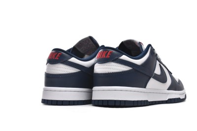 Nike Dunk Low Valerian Blue     DD1391-400