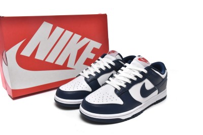 Nike Dunk Low Valerian Blue     DD1391-400