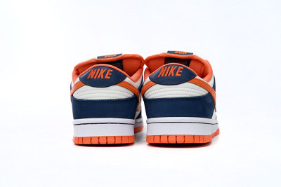 Nike SB Dunk Low Broncos      304292-184