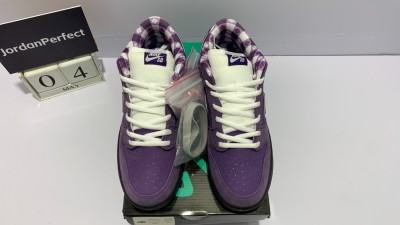 Nike SB Dunk Low Concepts Purple Lobster      BV1310-555