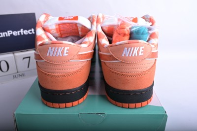 Nike SB Dunk Low Concepts Orange Lobster          FD8776-800