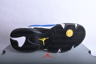 Jordan 14 Retro Laney     487471-407