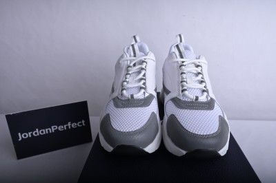 DIOR sneakers