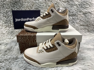 Jordan 3 Retro Palomino    CT8532-102