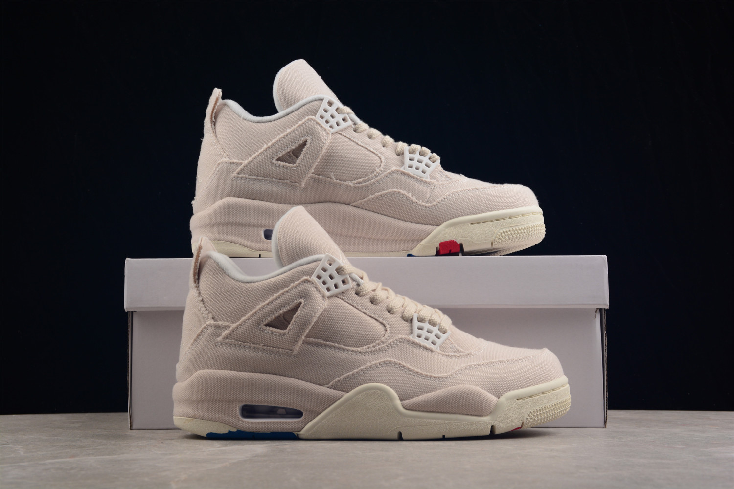 Jordan 4 Retro Blank Canvas (W) DQ4909-100