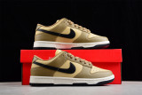 Nike Dunk Low Dark Driftwood (W) DD1503-200