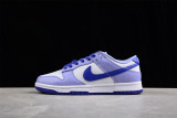 Nike Dunk Low Blueberry (GS) DZ4456-100