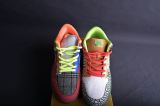 Nike Dunk SB Low What the Dunk 318403-141