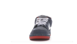 Nike Dunk SB Low Staple NYC Pigeon 304292-011