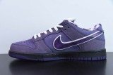 Nike SB Dunk Low Concepts Purple Lobster BV1310-555