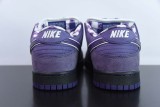 Nike SB Dunk Low Concepts Purple Lobster BV1310-555