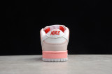 Nike Dunk SB Low Elite Pink White BV1310-012