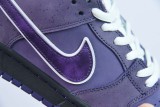 Nike SB Dunk Low Concepts Purple Lobster BV1310-555