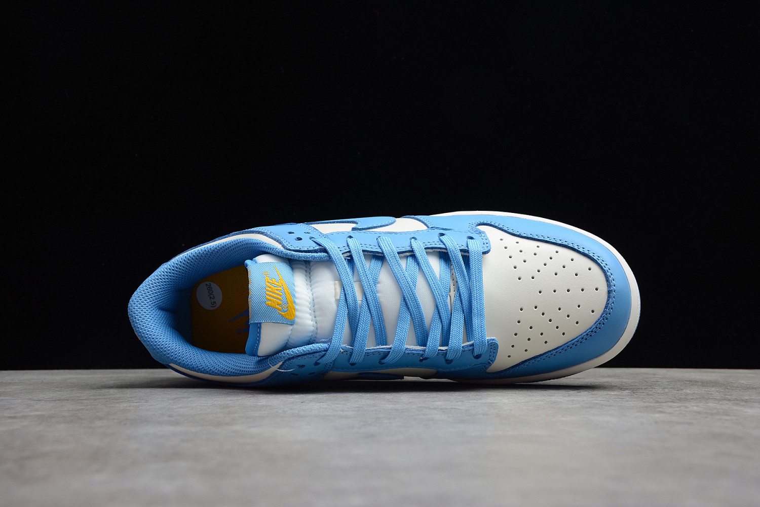 Nike Dunk Low Coast (W) DD1503-100