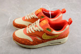 Nike Air Max 1 PRM Somos Familia (W) DZ5352-847