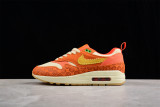 Nike Air Max 1 PRM Somos Familia (W) DZ5352-847