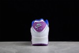 Nike Air Max 90 Easter (2020) (W) CJ0623-100