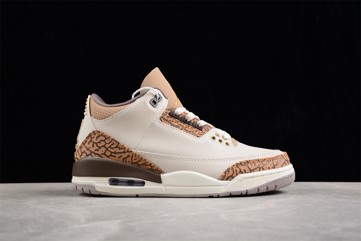 Jordan 3 Retro Palomino CT8532-102