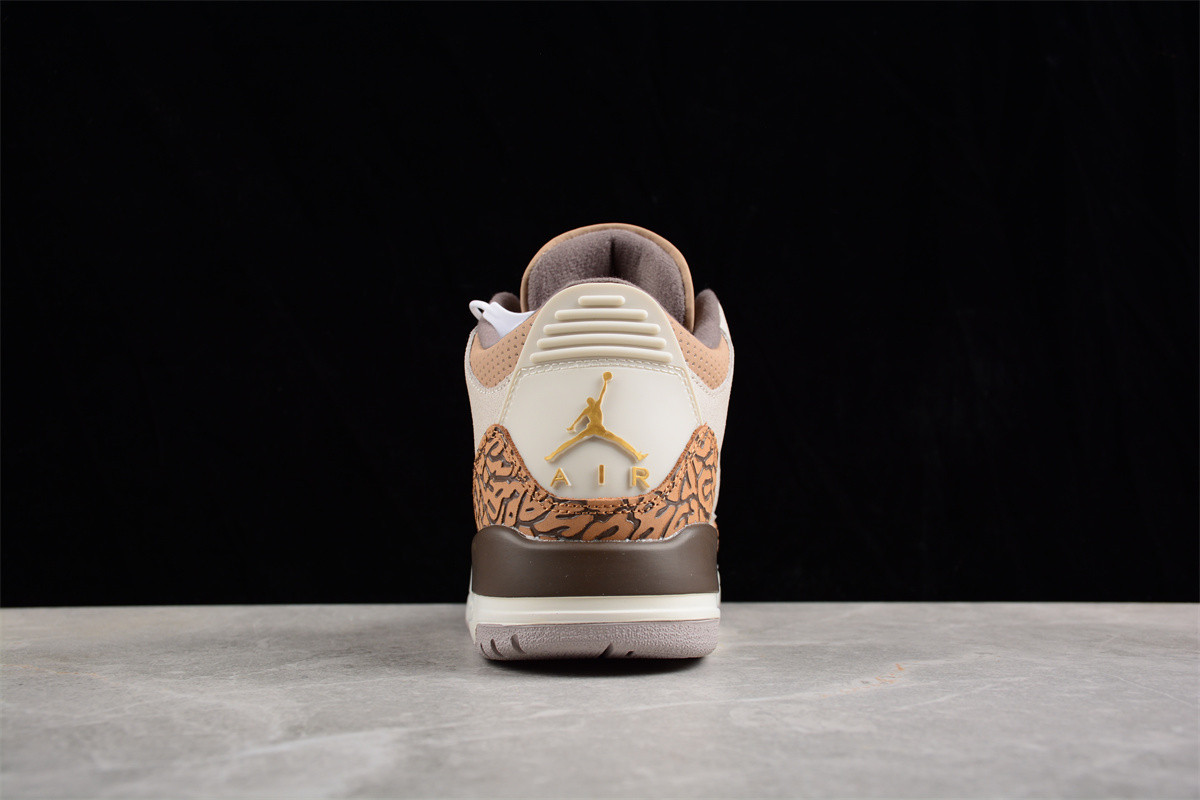 Jordan 3 Retro Palomino CT8532-102