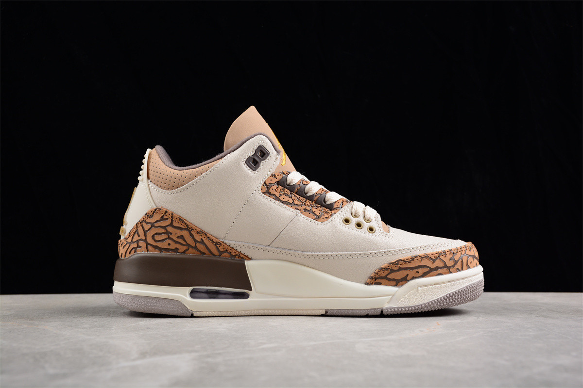Jordan 3 Retro Palomino CT8532-102