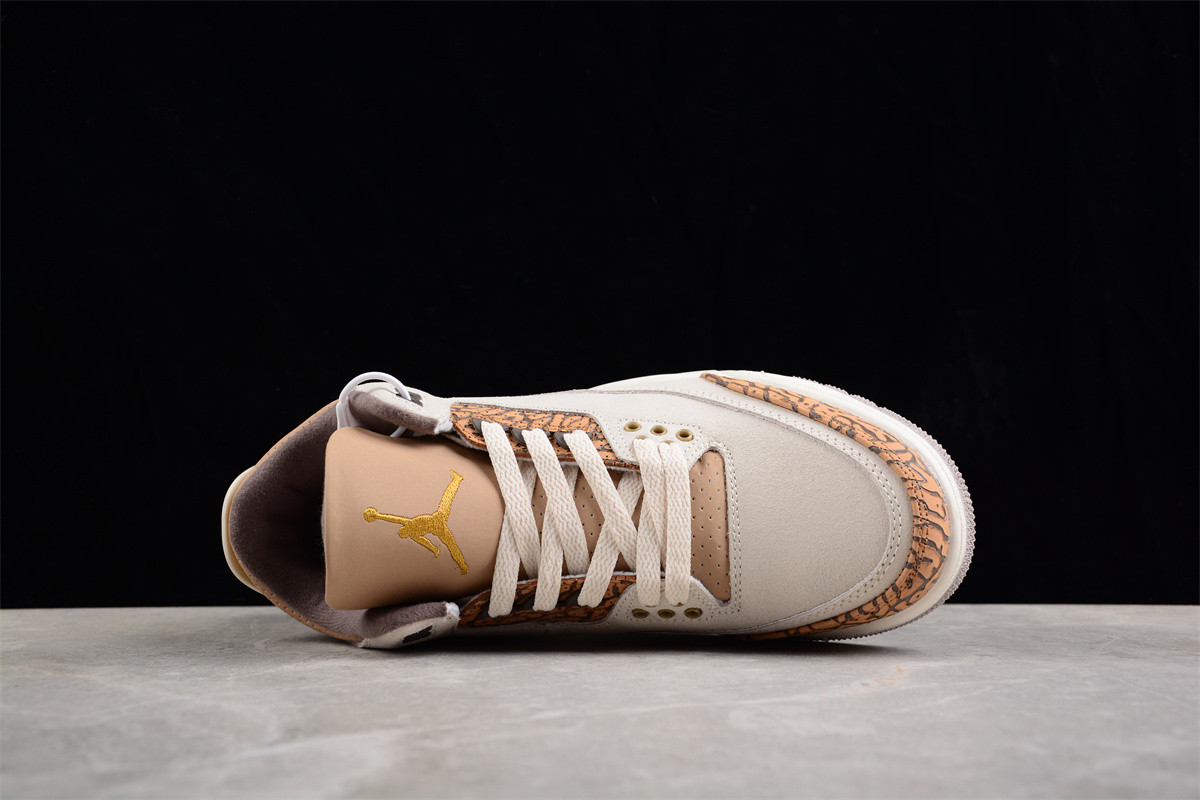 Jordan 3 Retro Palomino CT8532-102