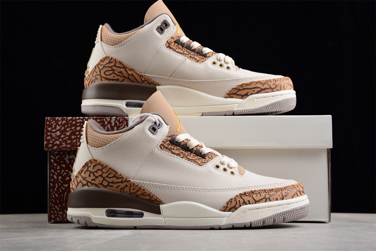 Jordan 3 Retro Palomino CT8532-102