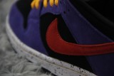 Nike SB Dunk Low ACG Terra BQ6817-008