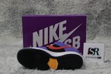 Nike SB Dunk Low ACG Terra BQ6817-008