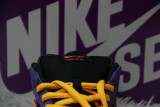 Nike SB Dunk Low ACG Terra BQ6817-008