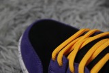 Nike SB Dunk Low ACG Terra BQ6817-008
