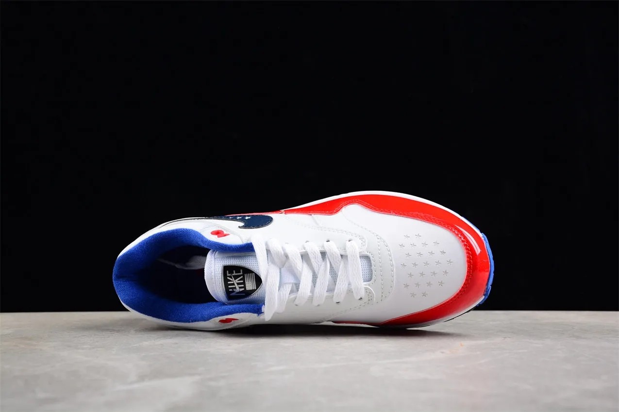 Nike Air Max 1 
