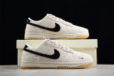 Nike Dunk Low DD1391-137