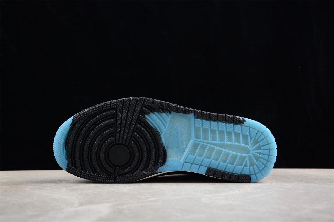 Air Jordan 1 Element Gore-Tex DB2889-003