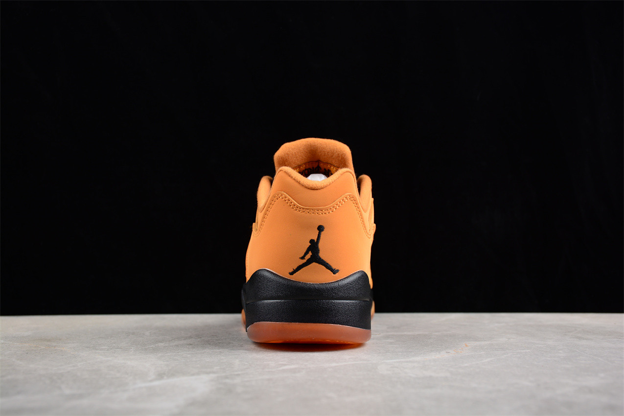 Jordan 5 Retro Low DA8016-700