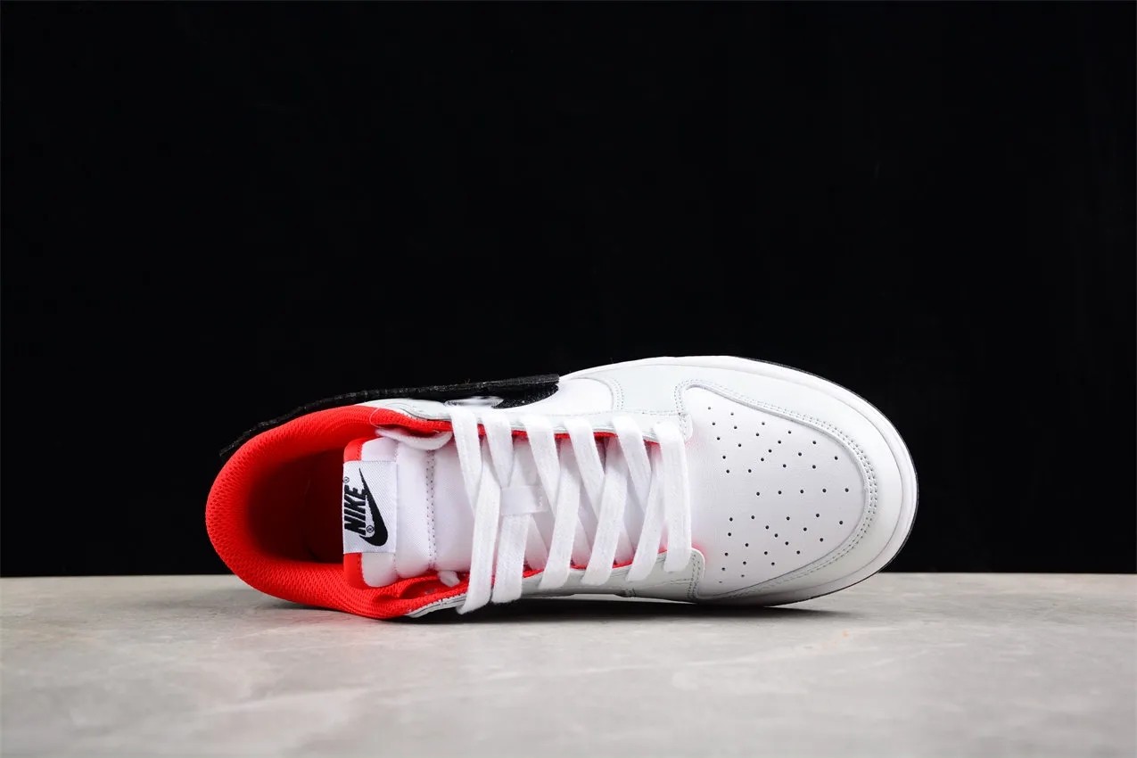 Nike Dunk Low FZ5528-101