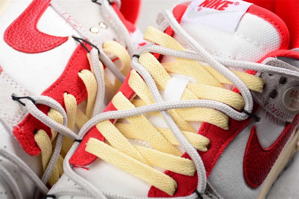 Nike Dunk Low FJ5429-133