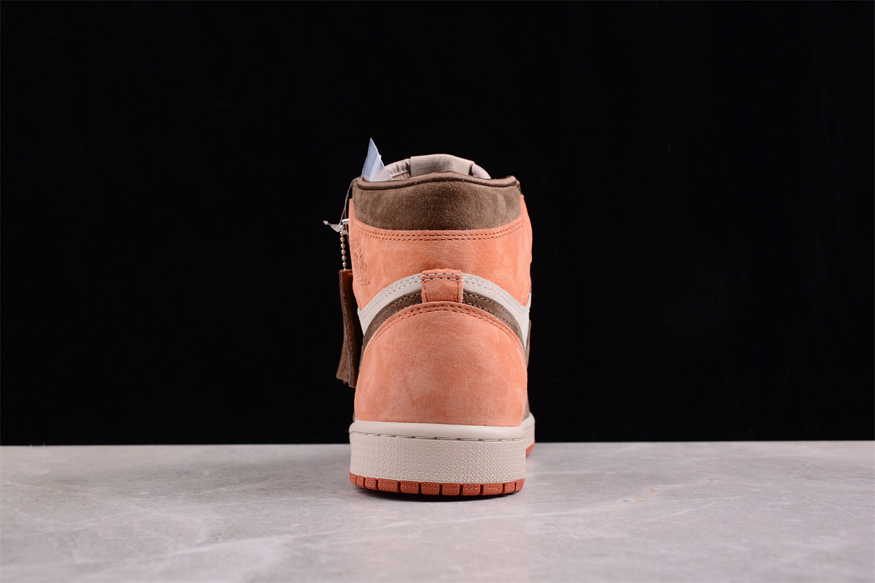 Jordan 1 Retro High OG SP Dusted Clay FQ2941-200