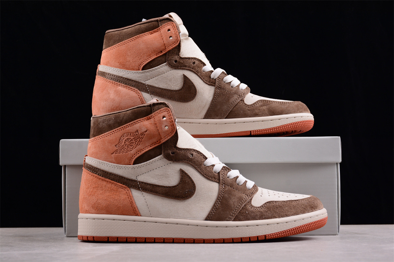Jordan 1 Retro High OG SP Dusted Clay FQ2941-200