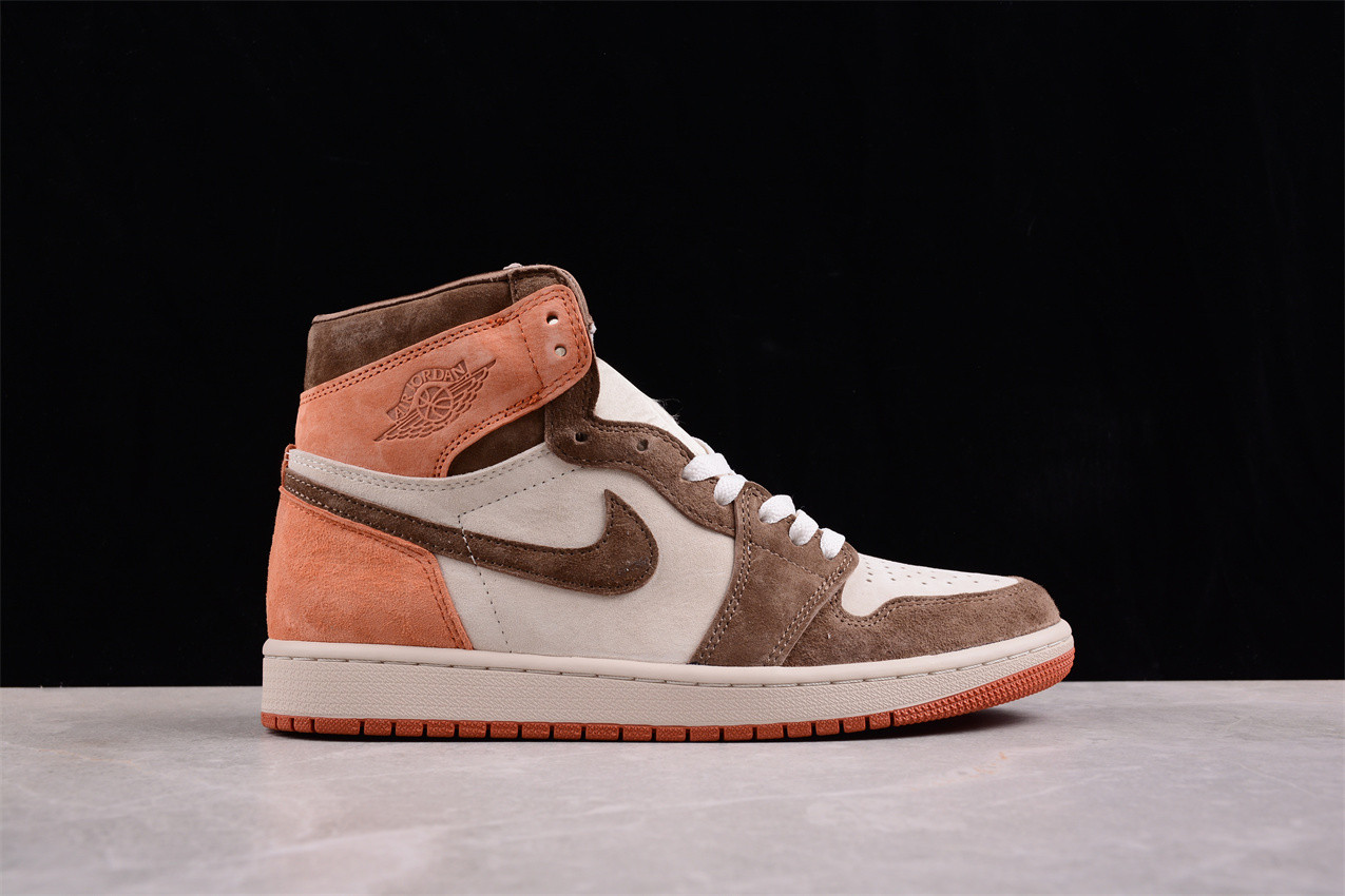 Jordan 1 Retro High OG SP Dusted Clay FQ2941-200